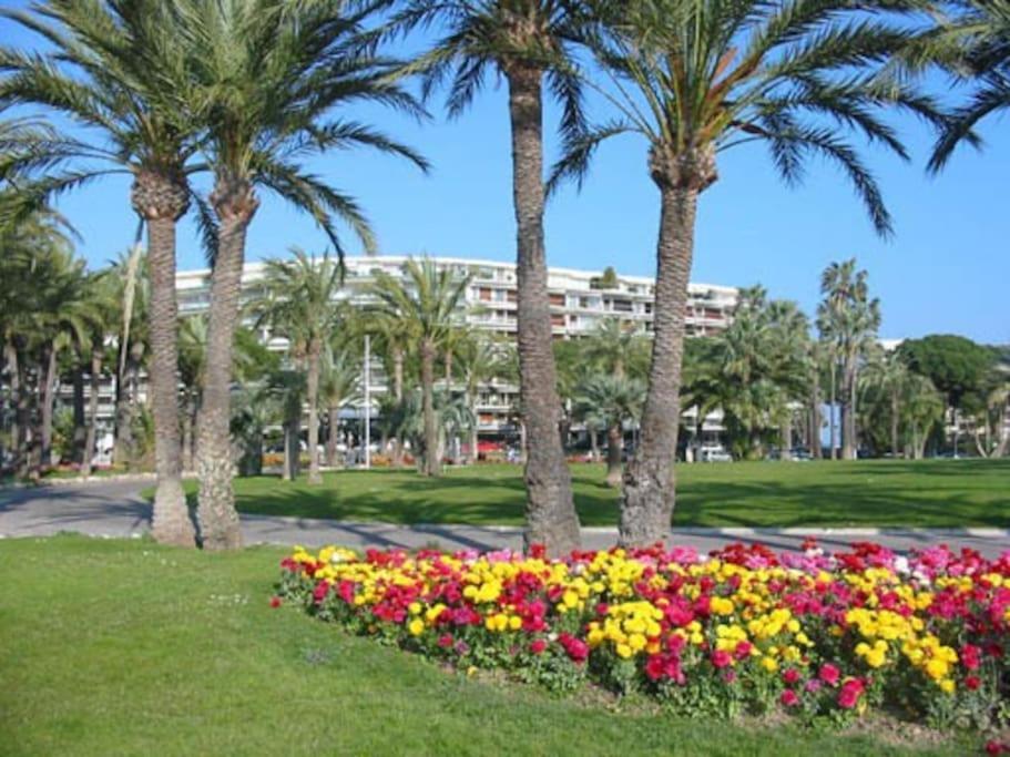 Cannes Palm Beach Parking, Clim, Wifi Plage 2' A Pieds Экстерьер фото